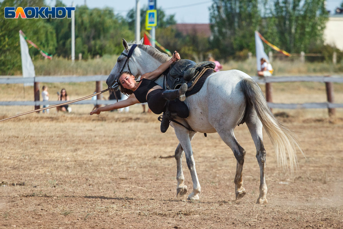 Сноровка