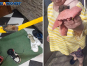 Сезон летучих мышей в квартирах начался в Волжском