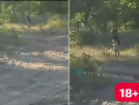 Онанист или энурезник? Мужчину без белья на озере сняли на видео (18+)