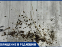 Деменция и запущенная квартира: соседи опасаются за жизнь пенсионерки и всего дома в Волжском