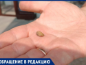 Булочка с начинкой из камней и полное равнодушие со стороны директора «Пятерочки» в Волжском