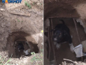 Две недели щенок умирает на дне 3-метровой ямы в Волжском
