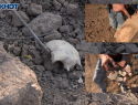 Останки изъяли и отправили на экспертизу: видеорепортаж с места находки черепов в центре Волжского