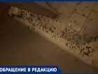 «Беспределу нет предела»: волжская УК заварила мусоропровод, вызвав эпидемиологическую катастрофу в доме