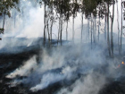 В регионе завершился пожароопасный сезон