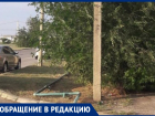 Сломанные ветки прибьют детей и родителей: засохшие деревья пугают жителей Волжского