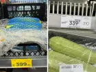 В Волжском на смену огурцам пришел новый деликатес - кабачки по 400 рублей