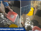 Жители черпали ведрами воду в затопленном доме Волжского, пока аварийка отказывала в помощи