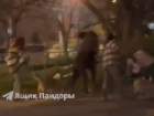 Массовая потасовка с участием мужчин, женщин и собак в Волжском
