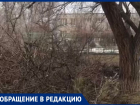 Волжане перепробовали все способы, но УК не спешит убирать ветки со двора