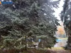 Дождливо и ветрено: прогноз погоды на неделю 