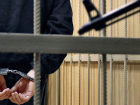 Житель Волжского обвиняется в изнасиловании двух 7-летних девочек