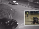 Пьяный мужчина расстрелял незнакомого человека в Волгограде: видео