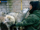 Помощь привозили ГАЗелями: 150 собак и руководство приюта «Любимки» благодарят волжан за участие в акции