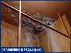 "Волжский противотуберкулезный диспансер - филиал Ада на Земле", - волжанка