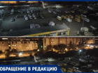 Стая диких собак забегает в жилые дворы и пугает детей в Волжском