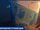 Бабушка-диверсант портит стены волжан