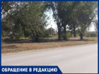 "На острове Зеленый наводят порядок",- волжанка