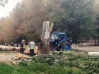 В Волжском спиливают деревья из-за смены теплотрассы 