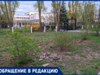 Куда делись сосны и почему не убирают аллею? Волжане задают вопросы по 26 микрорайону