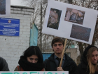 Волгоградская молодежь требует ликвидировать свалку из шприцев и бинтов 