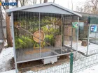 В Госдуме предложили запретить приобретение и использование животных в цирках