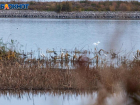 Волжанам разрешили стрелять водоплавающую дичь