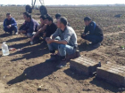Пограничники выявили 12 нелегальных азиатов в аэропорту Волгограда