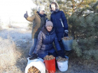 В регионе идет сбор шишек крымской и обыкновенной сосен 