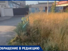 По пояс в траве: волжане не могут добиться покоса возле ТЦ «Идея»