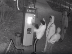 Бои без правил с кофейным автоматом устроили в ночном парке Волжского: видео