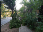 Молния ударила в дом, деревья повалило, дороги затопило: последствия непогоды в Волжском