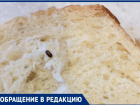 Ты на кого батон крошишь: жительница Волжского нашла в хлебе букашку