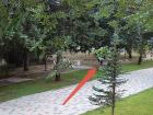 Подростки украли систему полива в парке на Молодежной в Волжском: видео