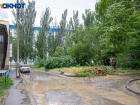Прохлада и дождь: какой будет погода в Волжском во вторник