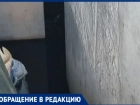 Запах канализации в квартирах душит жителей: В Волжском бьют тревогу из-за бездействия УК