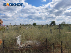 Волжское кладбище заросло бурьяном: кто ответственен за состояние погоста? 