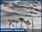 "Как долго нас будут продолжать травить?" - волжанка
