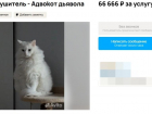 В Волжском за 66 666 рублей сдают в аренду адвокота Дьявола