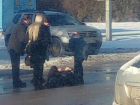 Автомобилист сбил волжанку напротив "Ленты"
