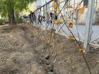 Живая изгородь появится на проспекте Ленина в Волжском