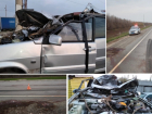 От столкновения с лошадью на трассе погиб 36-летний водитель ВАЗа