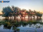 Во вторник Волжский окунется в тепло: прогноз погоды на 6 мая