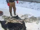 Банда браконьеров из Волжского незаконно выловила более 200 рыб