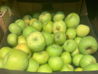 Продуктовая корзина недели: сравниваем цены на яблоки в магазинах Волжского 