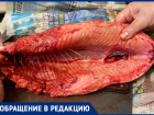 «Мясо разлагается»: волжанке нахамили после попытки вернуть деньги за некачественную рыбу на новогодний стол