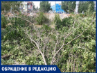 "Спилили молодые вязы ради дизайна",- волжанка