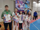 Волжские спортсмены завоевали россыпь медалей на Всероссийских турнирах по тхэквондо