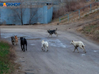 Моросящий дождь и тучи скроют от волжан солнце во вторник: прогноз погоды