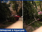 В Волжском дерево упало на машину: УК «МПЖХ» 5  дней не может его убрать